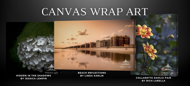 shop long island canvas wrap and wall art.