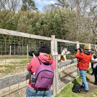 Image by Jessica Lempin - LI Game Farm
