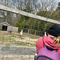 Image by Jessica Lempin - LI Game Farm