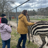 Image by Jessica Lempin - LI Game Farm