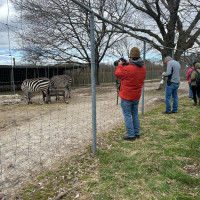 Image by Jessica Lempin - LI Game Farm
