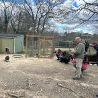 Image by Jessica Lempin - LI Game Farm